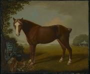 unknow artist Portrait of a Horse oil painting on canvas